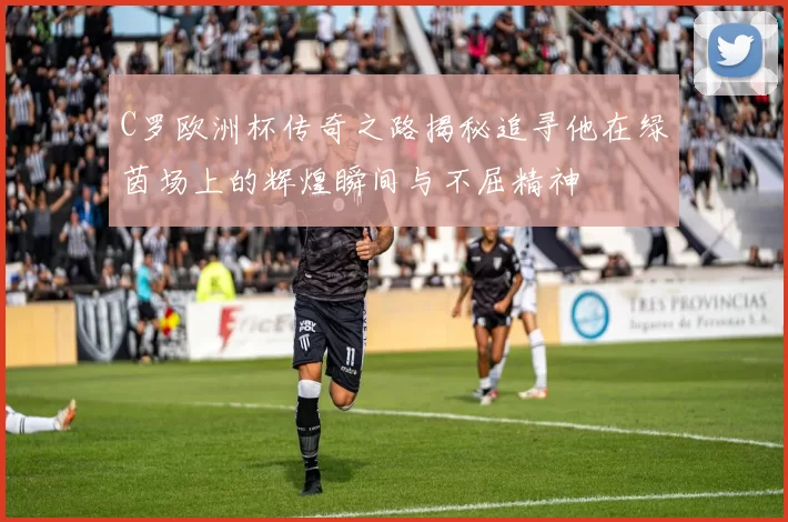 C罗欧洲杯传奇之路揭秘追寻他在绿茵场上的辉煌瞬间与不屈精神