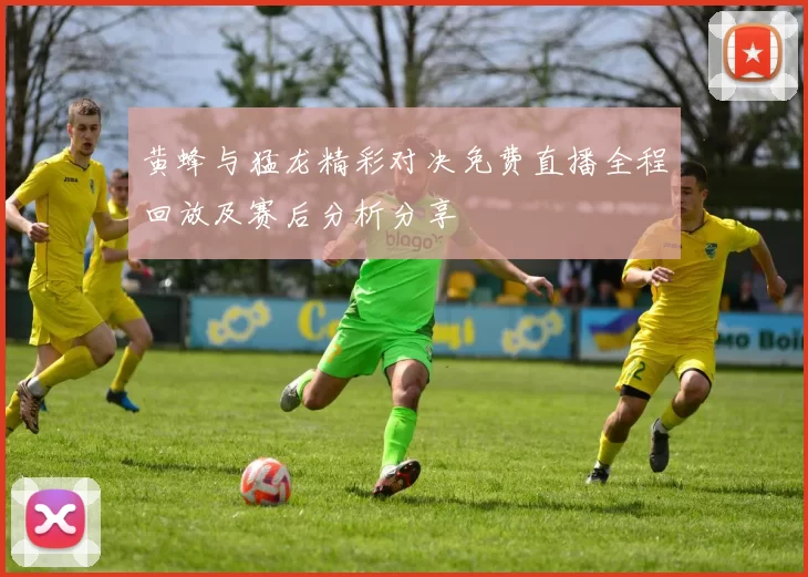 黄蜂与猛龙精彩对决免费直播全程回放及赛后分析分享